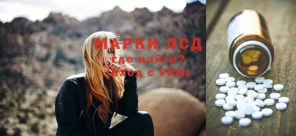 дживик Горняк