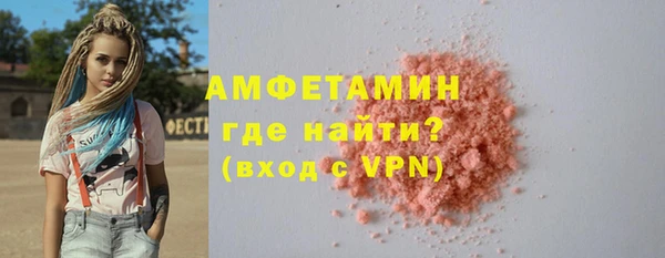соль ск Дмитриев