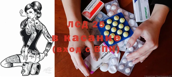 соль ск Дмитриев