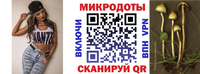 Купить  Майский  Галлюциногенные грибы GOLDEN TEACHER 